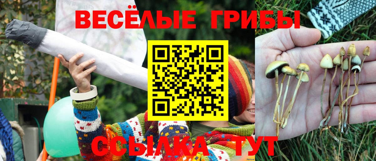 Псилоцибиновые грибы MAGIC MUSHROOMS Нижнеудинск